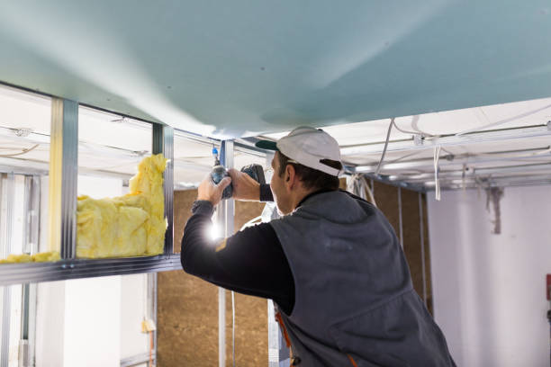 Best Fiberglass Insulation in Rio Hondo, TX