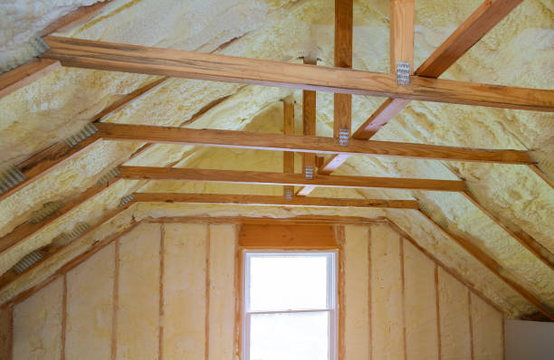 Best Commercial Insulation in Rio Hondo, TX