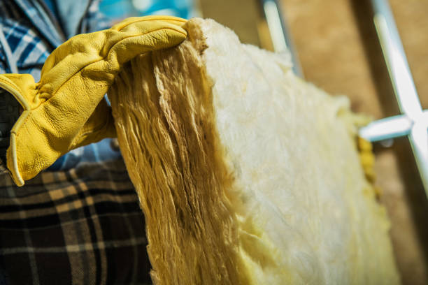 Best Spray Foam Insulation in Rio Hondo, TX