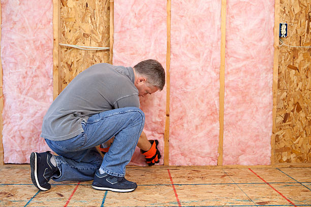 Best Cellulose Insulation in Rio Hondo, TX