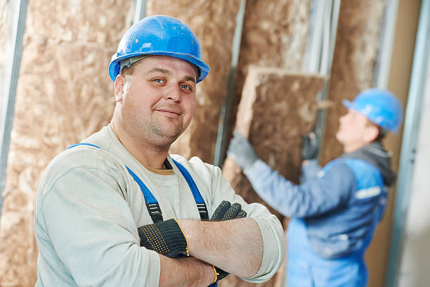 Best Eco-Friendly Insulation in Rio Hondo, TX